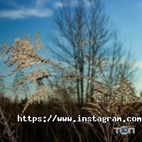 Фотограф Володимир Ковалюк фото