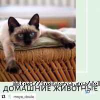 Diagnostic Group Астана фото