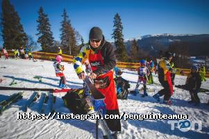 Спортивні секції Penguin Team фото