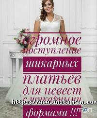 Белая орхидея Полтава фото