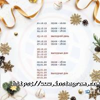 Global Ocean Link логістичні послуги фото