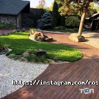 Ліс Харків фото