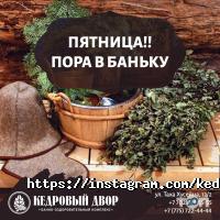 Кедровый двор отзывы фото