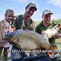 Veerline, натяжные потолки фото