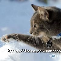 відгуки про Зооакадемія фото