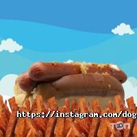 відгуки про Dogz&Burgerz фото
