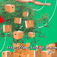 отзывы о Meest China фото