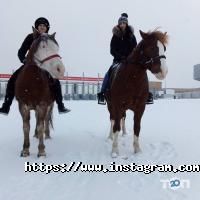 Темпо, кінний клуб фото