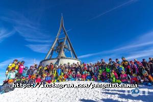 Penguin Team відгуки фото