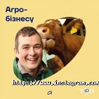 відгуки про Банк Альянс фото