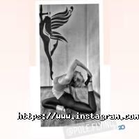 Pole Flying Київ фото