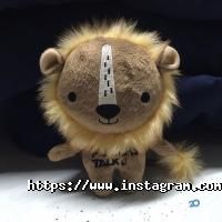 відгуки про Solyanka фото