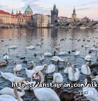 NikaTour Харків фото