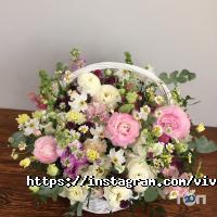 Viva відгуки фото