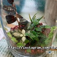 Даруй квіти Харків фото