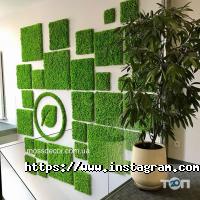 Магазини квітів Moss Decor фото
