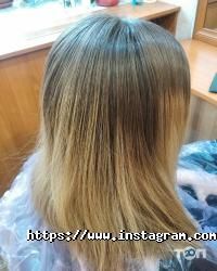 Лотос відгуки фото