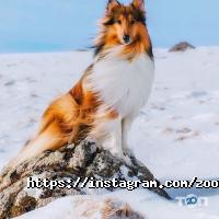 Зооакадемія Київ фото