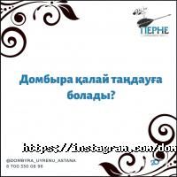 Музыкальные, художественные школы Студия обучения игры на домбре фото