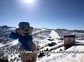 Carryland Logistics відгуки фото