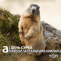 Anywayanyday Київ фото