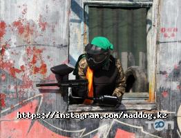 MADDOG отзывы фото
