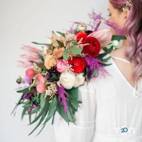 відгуки про SOVA фото