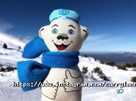 Вантажні перевезення Carryland Logistics фото