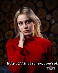 Доставка пиццы, суши и обедов Sokko фото