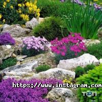 Оформлення залу, доставка квітів Росток фото