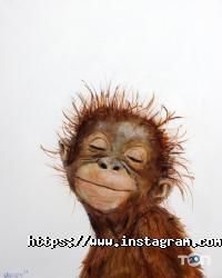 Picasso, художня студія фото