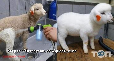 Ігрові комплекси Quest-time фото