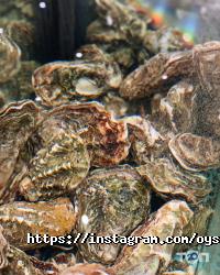 Oysters Сava, бар фото