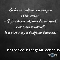 Pupsik.kz отзывы фото