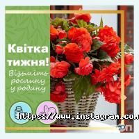 Земля X, садовий центр фото