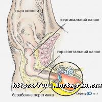 Zoo House, зоомагазин фото