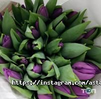 отзывы о Rasaliya фото