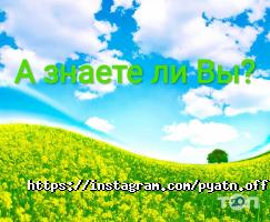 Пятн.OFF отзывы фото