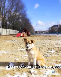 Veska Одеса фото