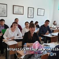 Высшие учебные заведения Сибирский институт бизнеса и информационных технологий фото
