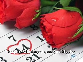 Suship отзывы фото
