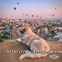 Артіфіка, туристична компанія фото