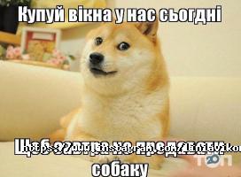 Лінія вікон Київ фото