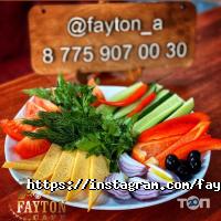 Fayton отзывы фото