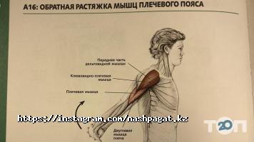 Школа шпагата Анны Частухиной отзывы фото