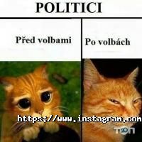 Курси іноземних мов Poznani фото