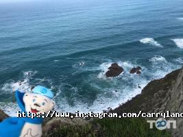 Carryland Logistics, транспортна компанія фото