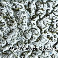 Plusobject Харків фото