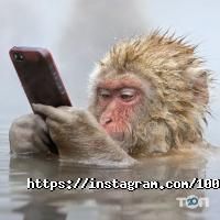 отзывы о Сто пудов фото