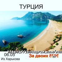 відгуки про Exotica.tours фото